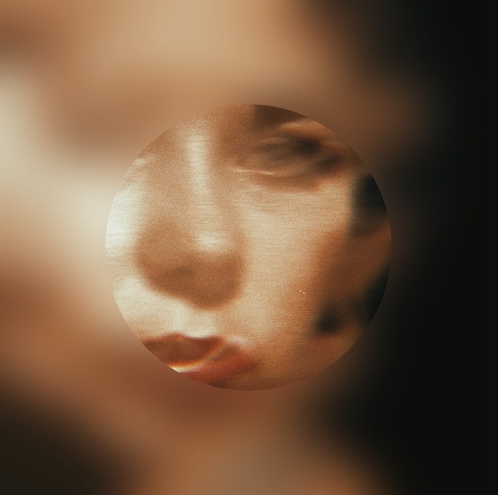 AESTHETICS